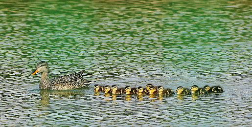 《最终幻想7重制版》第二章发布 明年登陆PS5